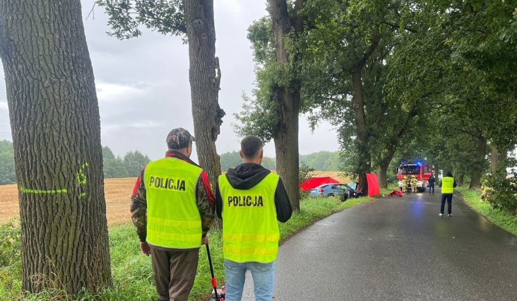 Kierowca zginął na miejscu, pasażerowie w szpitalu. - Auto wbiło się w drzewo. Nie żyje 30-letni obcokrajowiec