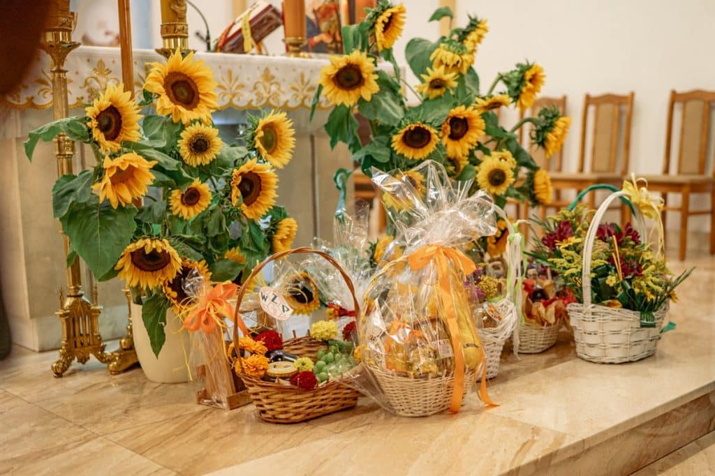 Rozogi zamieniły się w stolicę pszczelarstwa. - Rozogi po raz pierwszy w historii gościły wojewódzkie obchody Dnia Pszczelarza