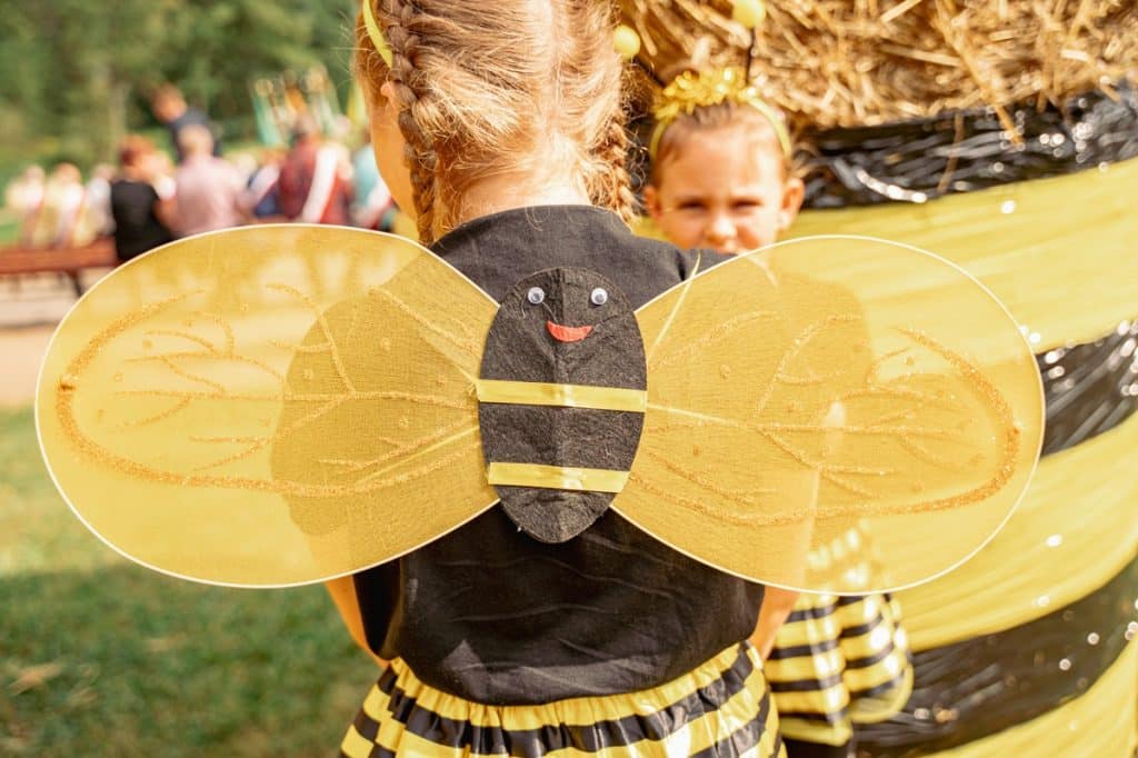 Rozogi zamieniły się w stolicę pszczelarstwa. - Rozogi po raz pierwszy w historii gościły wojewódzkie obchody Dnia Pszczelarza