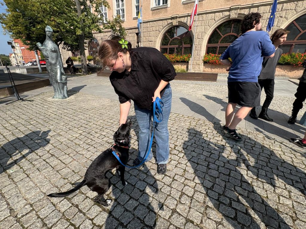 Mieszkańcy biją na alarm. Groźne chemikalia w Olsztynie. Co na to prezydent Olsztyna? - Trujący oprysk na ulicach Olsztyna! Psy chore, koty martwe, a dzieci bawią się obok