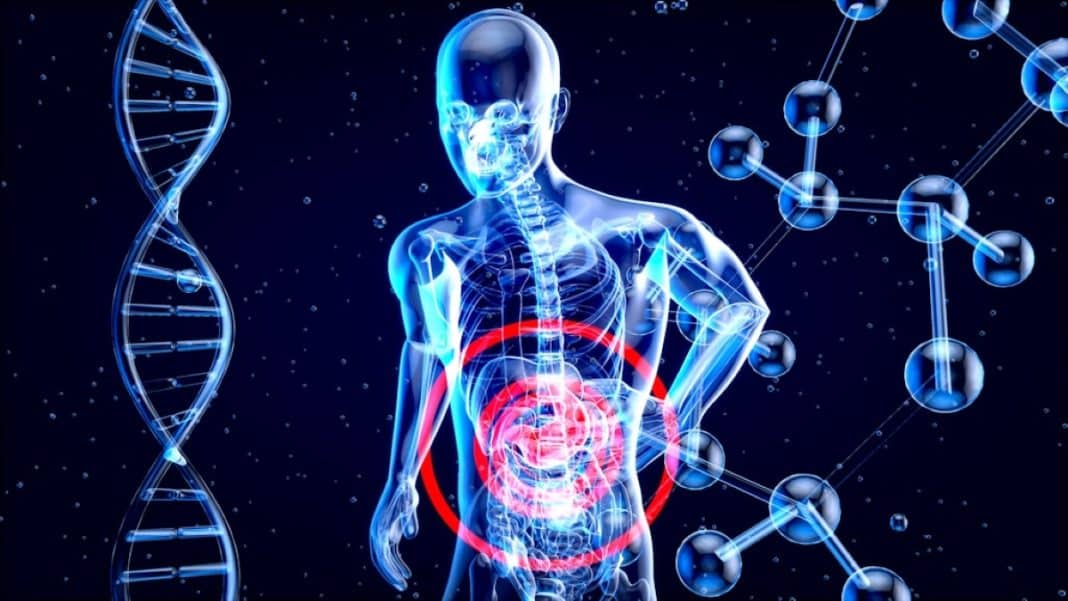 Suplementy diety a wątroba &ndash; co warto wiedzieć?