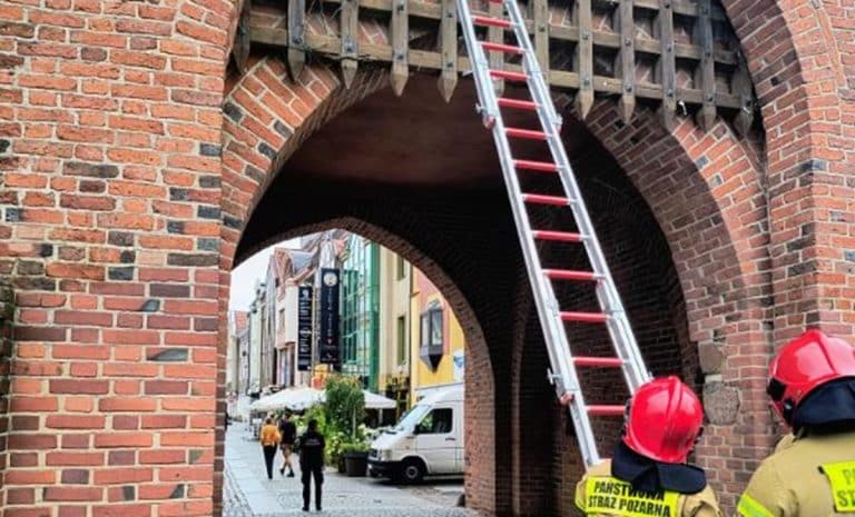 strażacy na ratunek gołębiowi