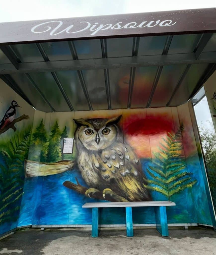 Projekt Anny Wojszel pokazuje, że sztuka potrafi zmieniać codzienność i przyciągać uwagę turystów z całego świata. - Kolorowe przystanki na Warmii i Mazurach stały się światową sensacją. Jest ich już 60