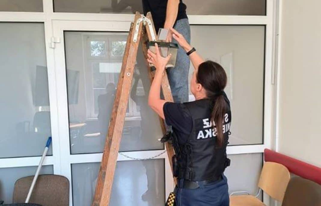 Atak nietoperzy w olsztyńskim szpitalu! Kilkadziesiąt osobników opanowało salę