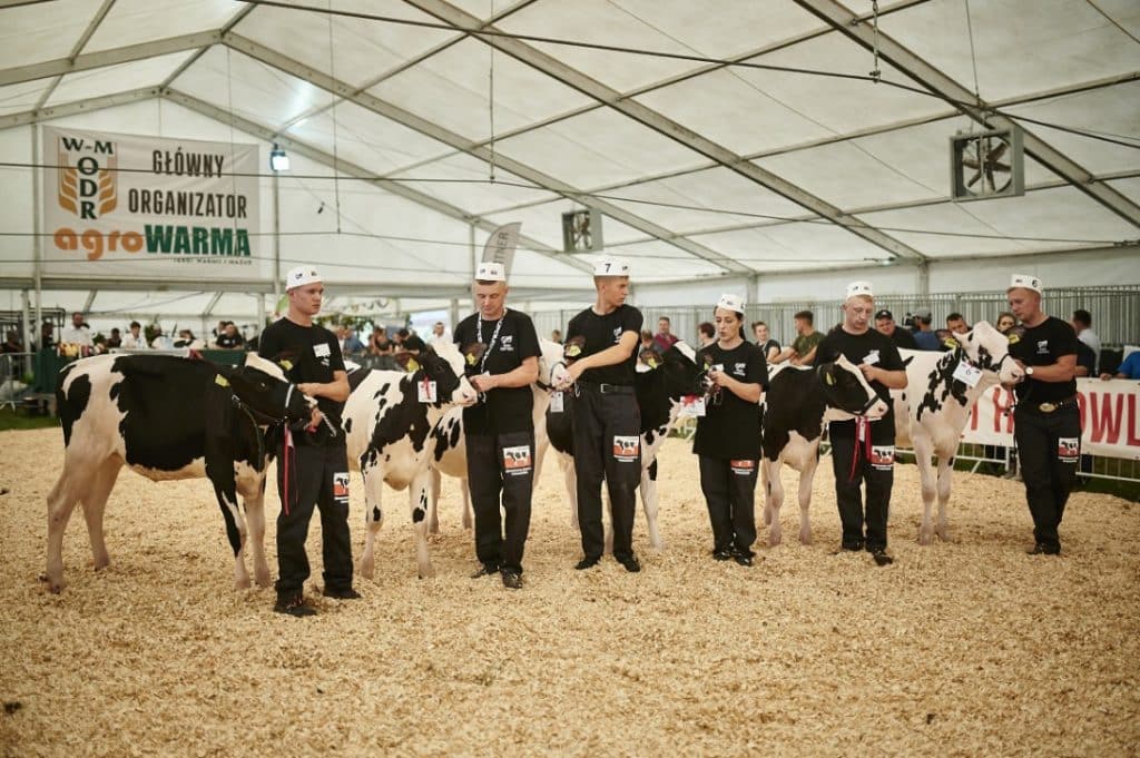 Setki wystawców i 7 hektarów atrakcji. Zbliżają się XXXI Jesienne Targi Rolnicze! - Rolnicza stolica Warmii i Mazur. Największe targi agroWARMA 2025 już za kilka dni!