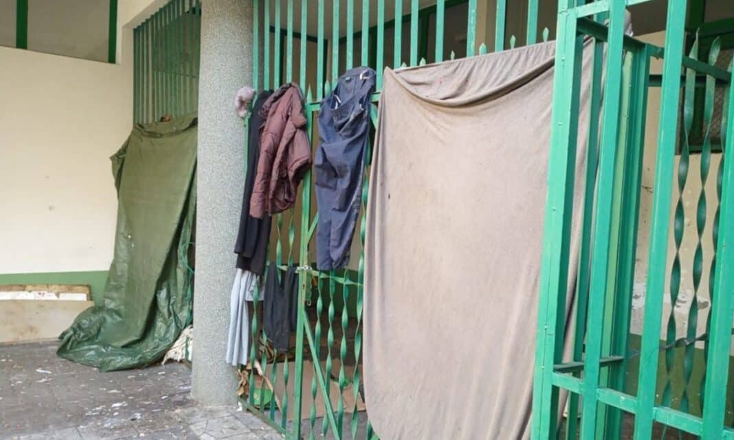 koszowisko w Olsztynie