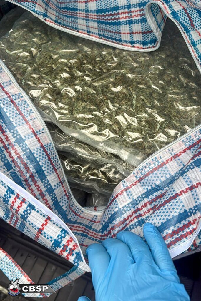 Szokujące kulisy działalności mafii z Warmii. - Najgroźniejszy gang z Warmii i Mazur! Działali jak mafia, wśród zatrzymanych żołnierze