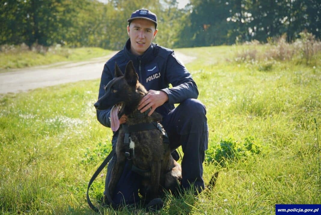 Wilkor i sierżant Dawid Jasiński