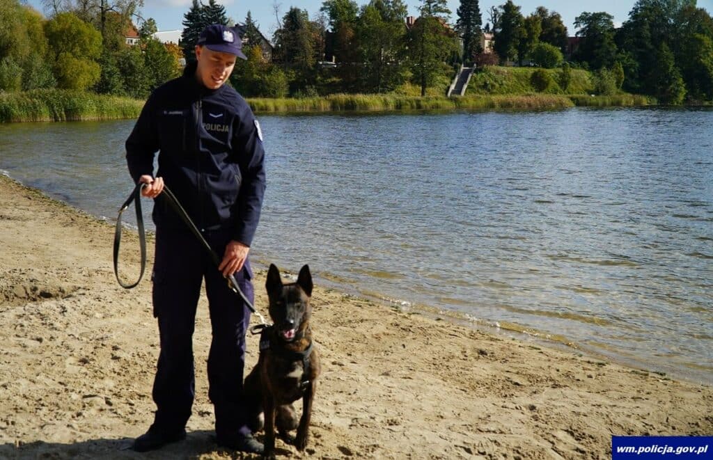 Po miesiącach szkolenia Wilkor i sierż. Dawid Jasiński są gotowi do wspólnej służby. - Owczarek holenderski Wilkor dołącza do policji