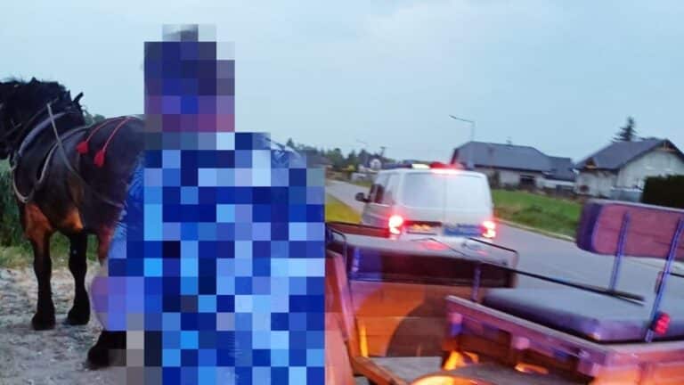 woźnica zatrzymany przez policję