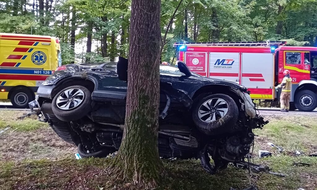 Tragiczne chwile na DK54. - Honda wypadła z trasy i uderzyła w drzewa. Kobieta i dziecko trafili do szpitala