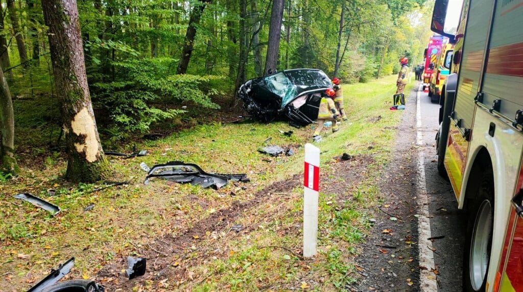 Tragiczne chwile na DK54. - Honda wypadła z trasy i uderzyła w drzewa. Kobieta i dziecko trafili do szpitala