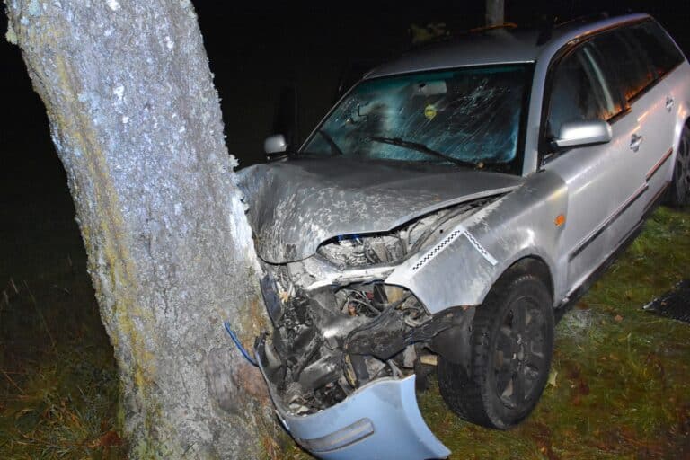 passat uderzył w drzewo