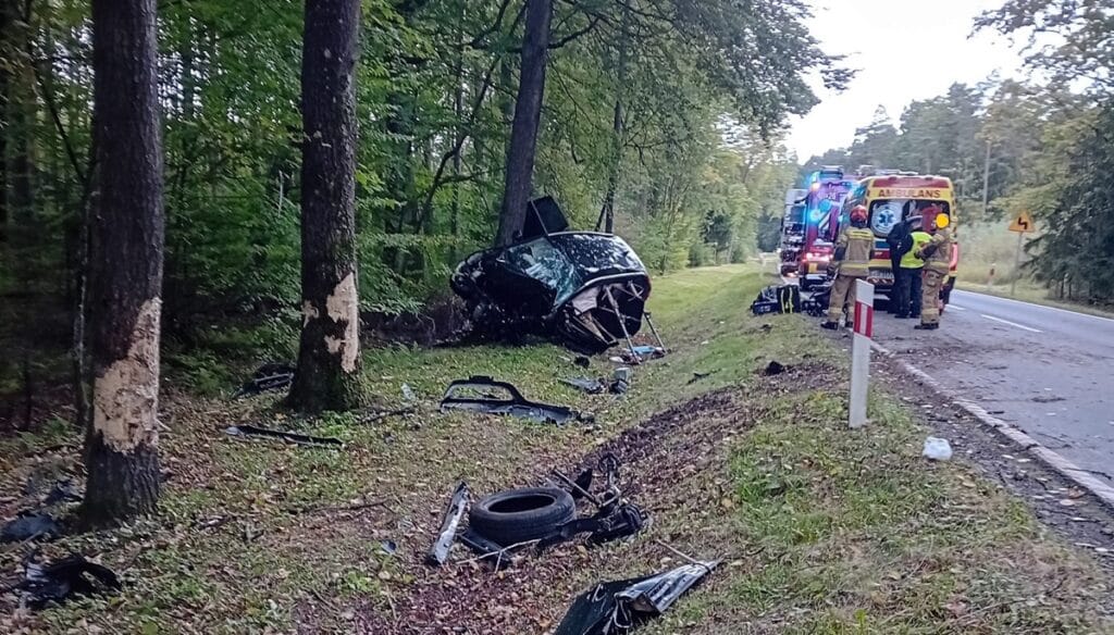 Tragiczne chwile na DK54. - Honda wypadła z trasy i uderzyła w drzewa. Kobieta i dziecko trafili do szpitala