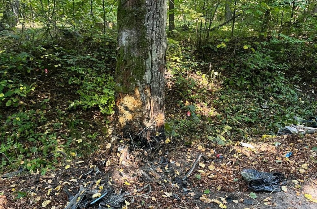 Potworne uderzenie w drzewo. Kierowca zmarł mimo reanimacji. - Makabryczny wypadek na drodze powiatowej. Nie żyje 27-latek