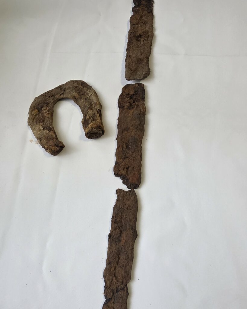 Pani Joanna natrafiła w lesie na prawdziwy karb. - Nieprawdopodobne znalezisko na Mazurach. Eksperci przecierają oczy ze zdumienia