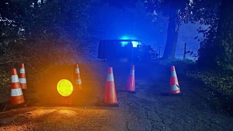 bus uderzył w drzewo