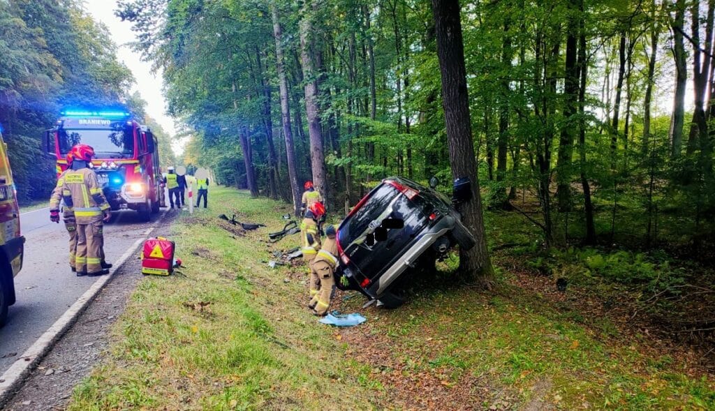 Tragiczne chwile na DK54. - Honda wypadła z trasy i uderzyła w drzewa. Kobieta i dziecko trafili do szpitala