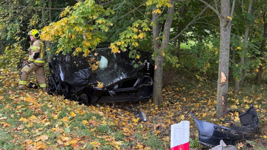 samochód między drzewami