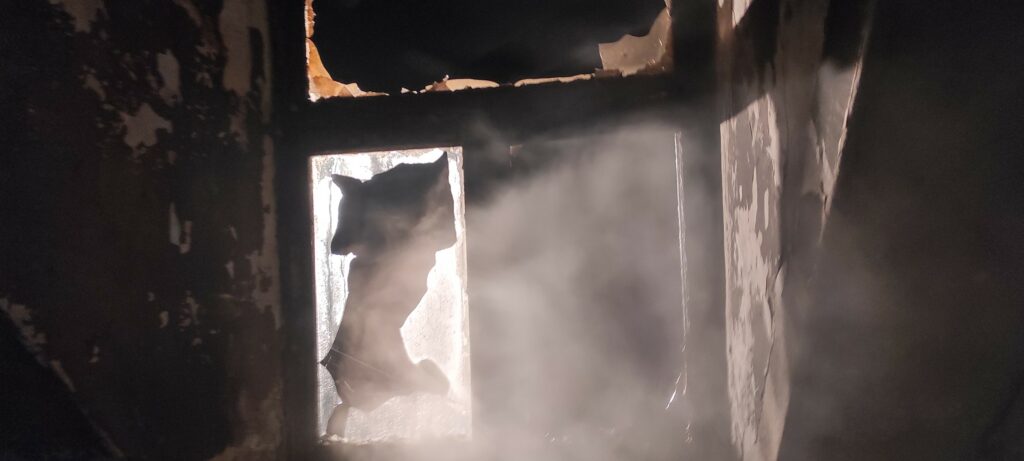 17 osób zagrożonych. - Nocny pożar budynku wielorodzinnego. Siedem zastępów straży walczyło z ogniem