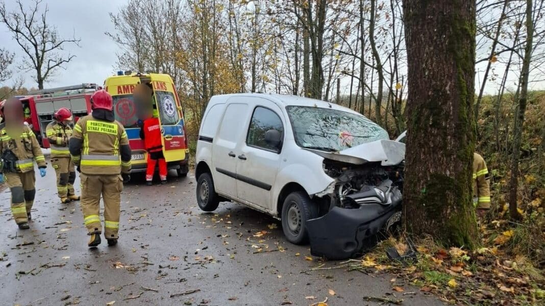 rozbity renault na drzewie