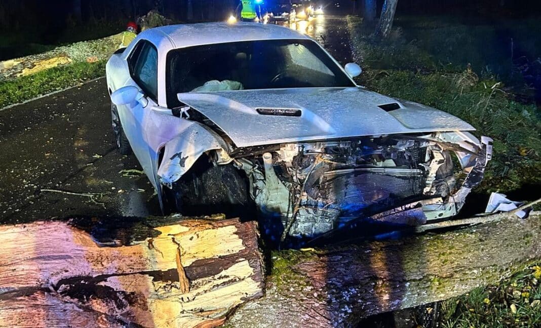 uderzył samochodem w powalone drzewo