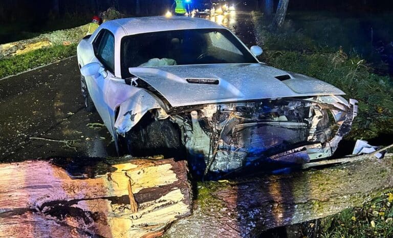 uderzył samochodem w powalone drzewo