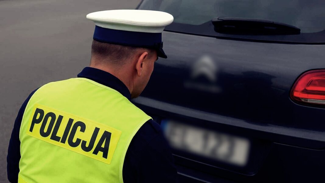 fałszywe tablice rejestracyjne