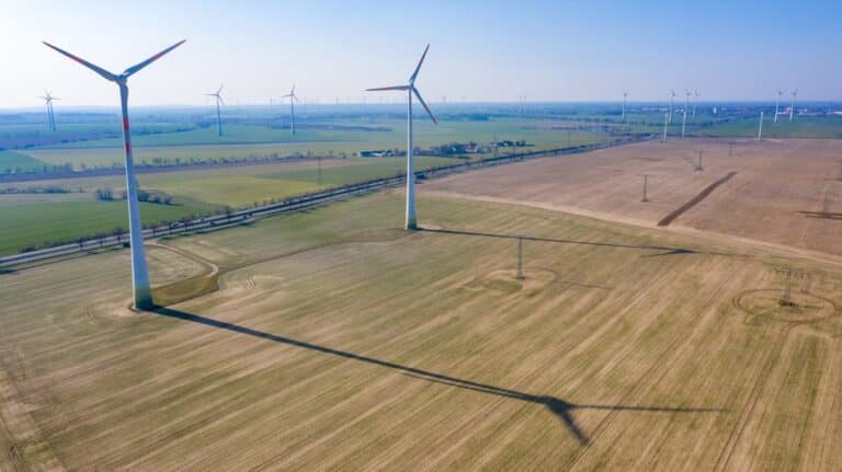 ferma wiatrowa