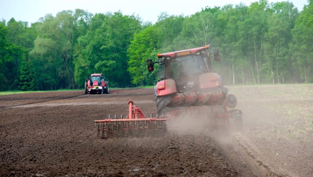 rolnicy w polu orzą