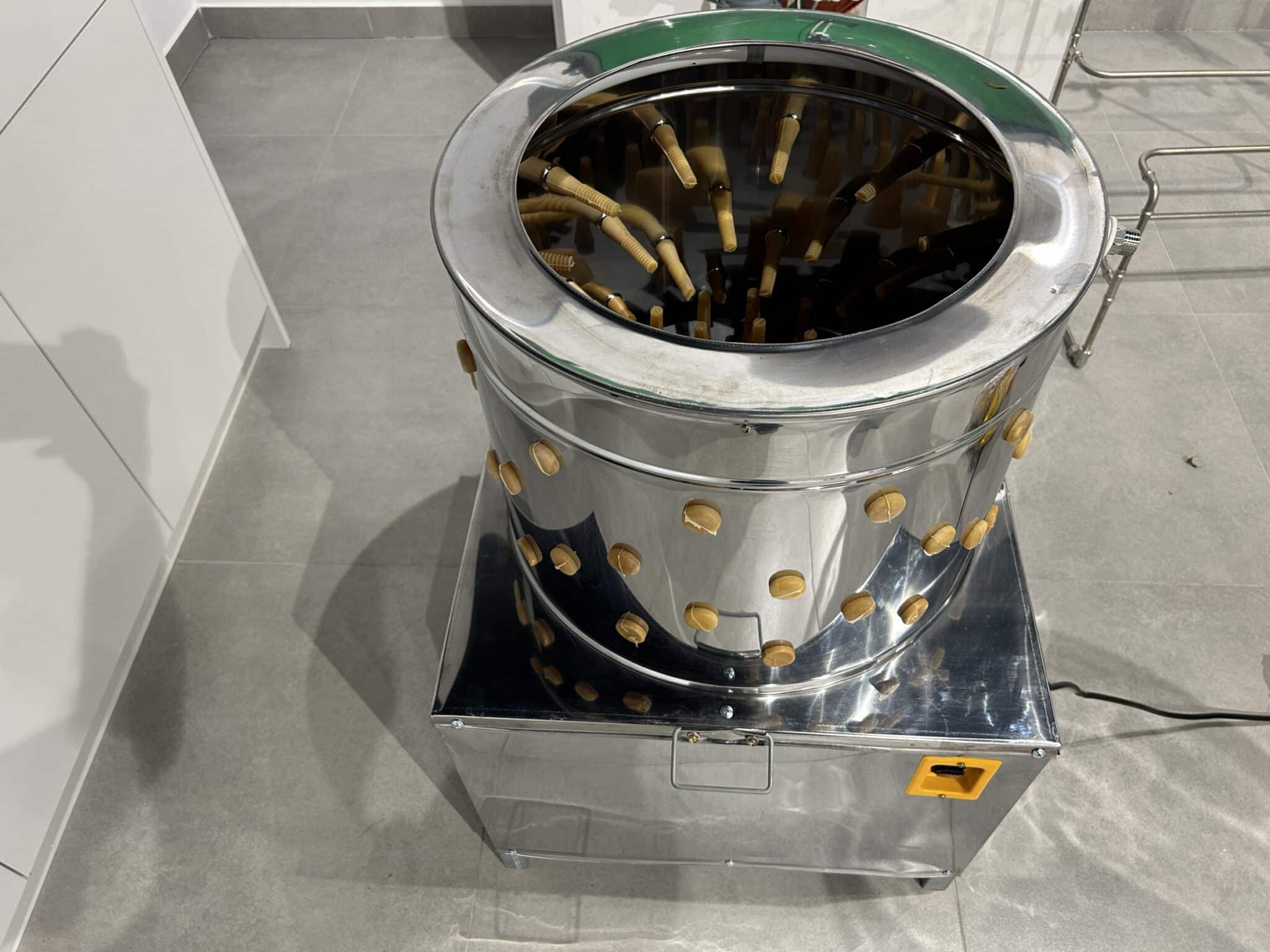 Jak humanitarnie i sprawnie ubić drób w warunkach domowych? Praktyczny poradnik dla hodowców