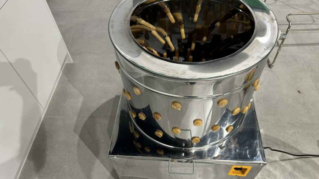 Jak humanitarnie i sprawnie ubić drób w warunkach domowych? Praktyczny poradnik dla hodowców