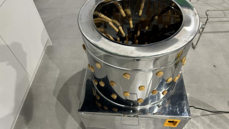 Jak humanitarnie i sprawnie ubić drób w warunkach domowych? Praktyczny poradnik dla hodowców