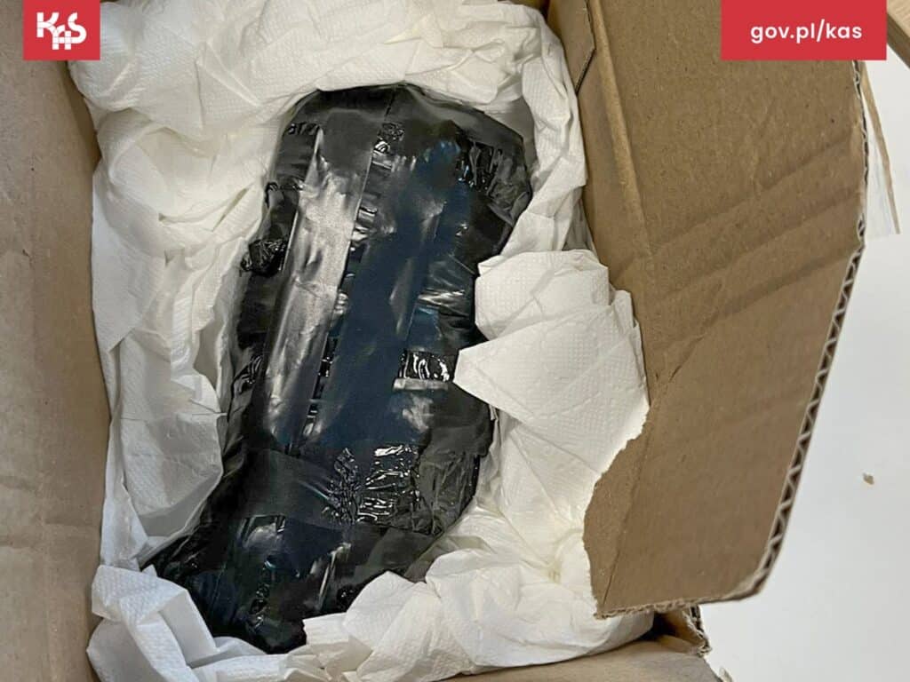 Zaskakujące znalezisko na terenie firmy kurierskiej. - Rutynowa kontrola skończyła się sensacją. Pracownicy sortowni przecierali oczy ze zdumienia