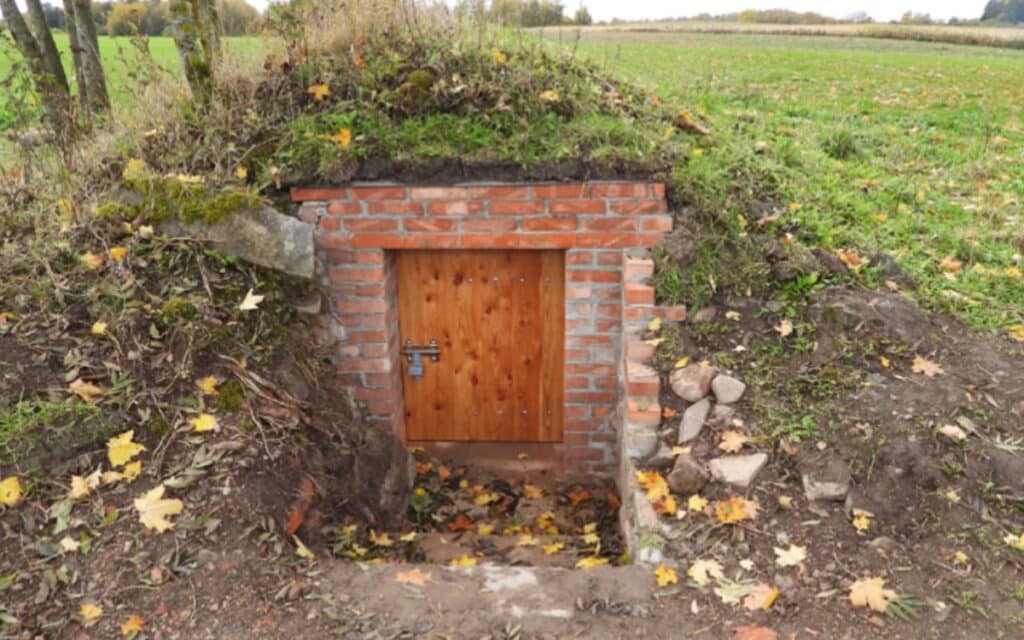 Nowe schronienia dla nietoperzy. - Nietoperze w luksusach? Warmia i Mazury przygotowują im „apartamenty” na czas hibernacji