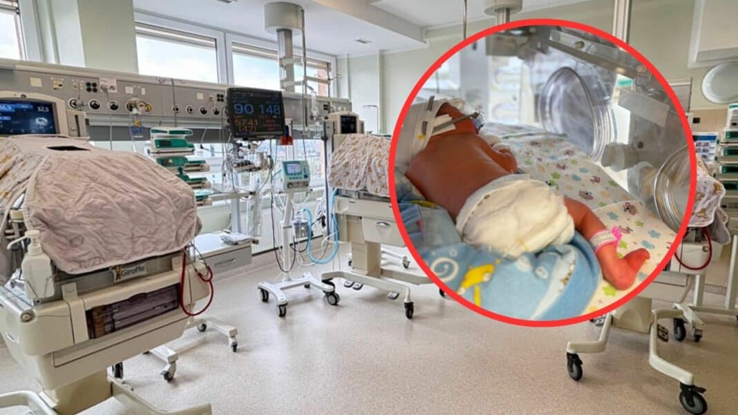 w Olsztynie urodziły się trojaczki