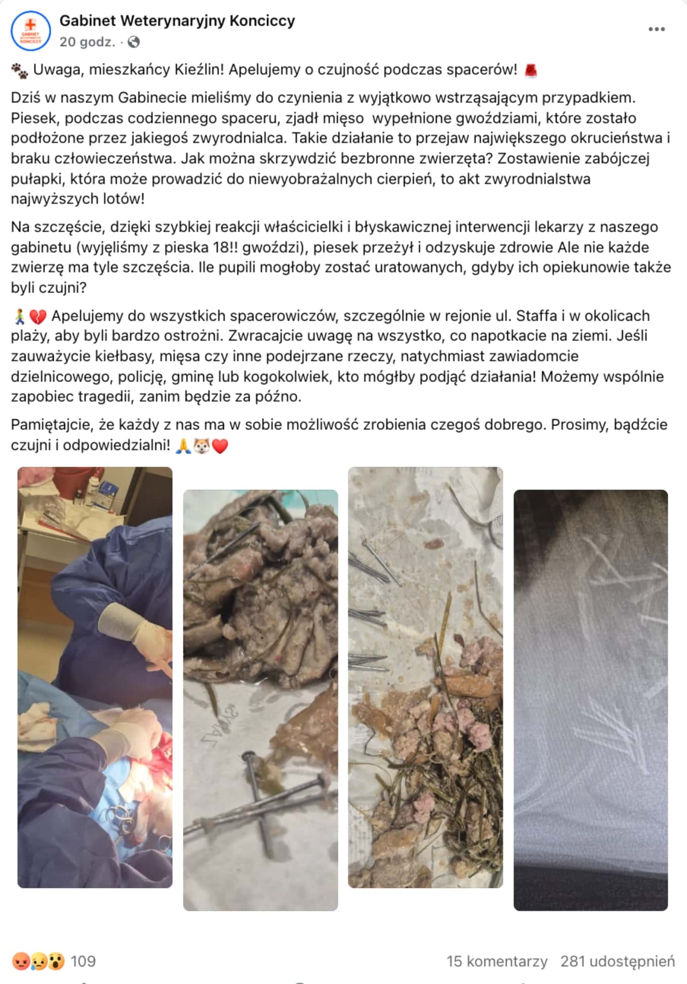 Do placówki trafił pies, który połknął mięso naszpikowane gwoździami. - Uwaga mieszkańcy, ktoś zostawia pułapki? Weterynarze wyjęli z psa aż 18 gwoździ