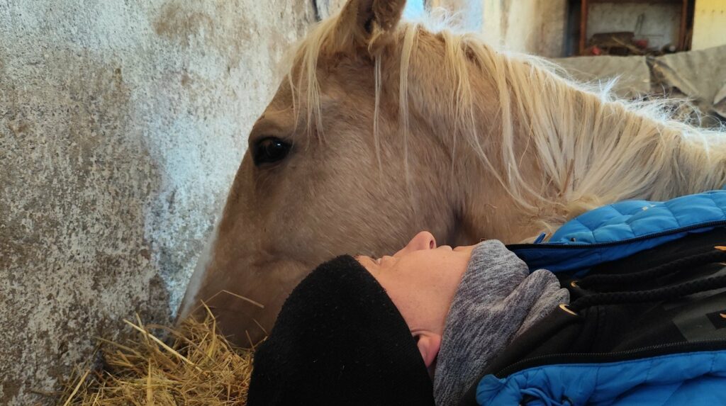 Właścicielka prosi o wsparcie. - Scarlet walczy o życie. Potrzeba pieniędzy, by uratować ukochaną klacz Pani Magdaleny