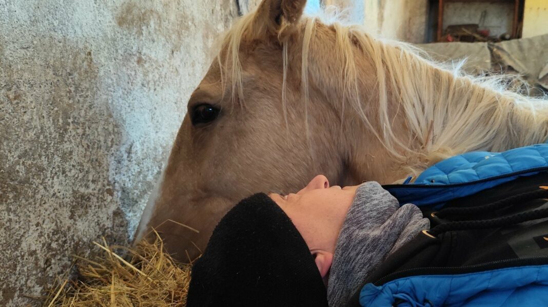 Scarlet z waścicielką