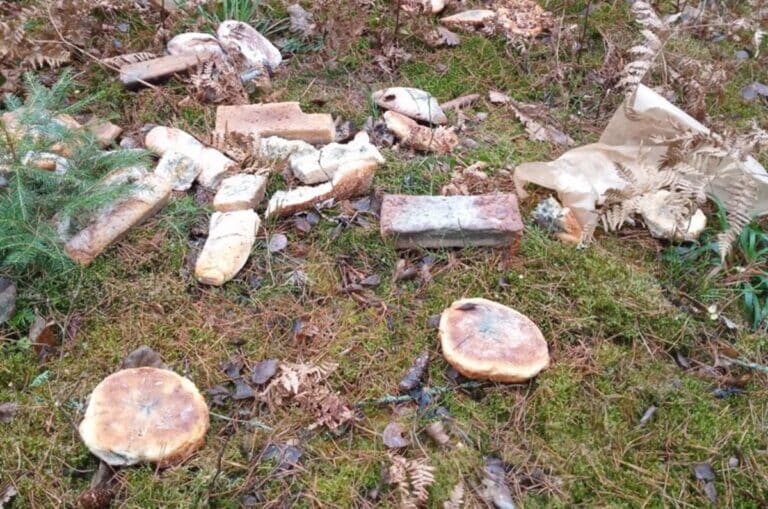 wyrzucony chleb do lasu