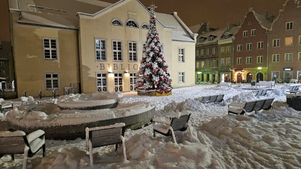Choinka na Starym Mieście już króluje. - Olsztyn odpalił święta wcześniej niż zwykle – zobacz, jak wygląda miejska choinka!