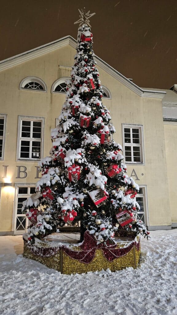 Choinka na Starym Mieście już króluje. - Olsztyn odpalił święta wcześniej niż zwykle – zobacz, jak wygląda miejska choinka!