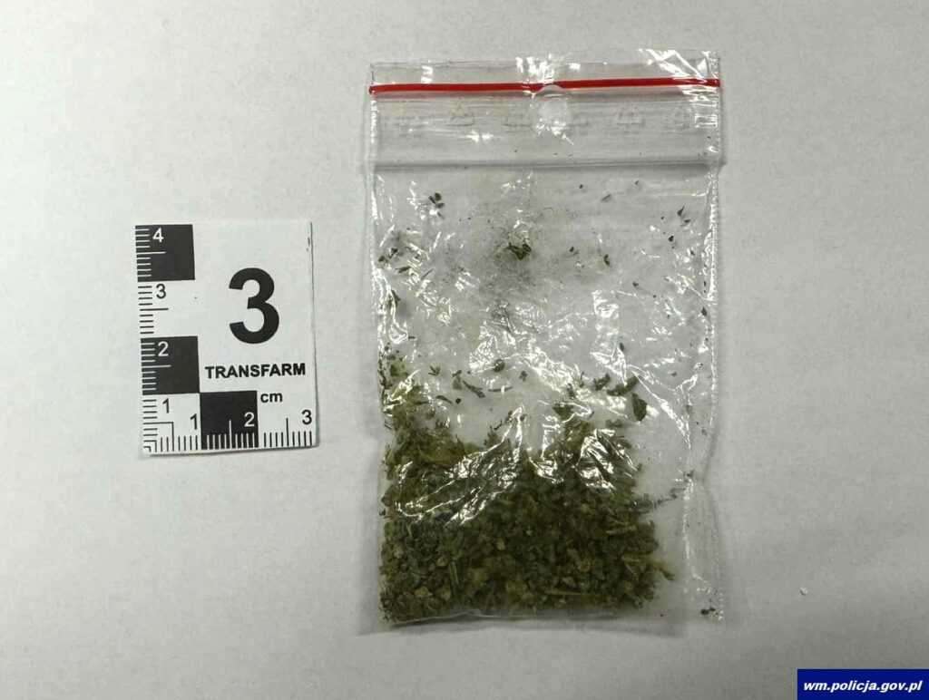 Wizyta w ramach "Niebieskiej Karty" zakończyła się niespodzianką. - Sprawdzał opał w piwinicy, a znalazł coś innego