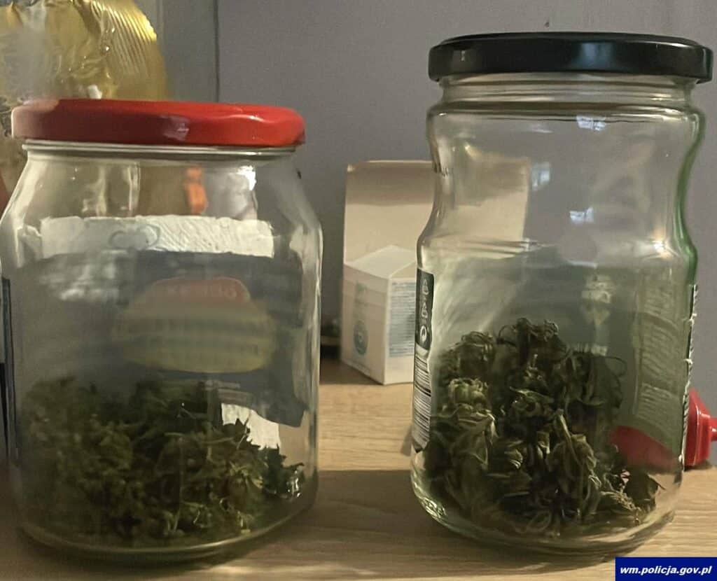 Wizyta w ramach "Niebieskiej Karty" zakończyła się niespodzianką. - Sprawdzał opał w piwinicy, a znalazł coś innego