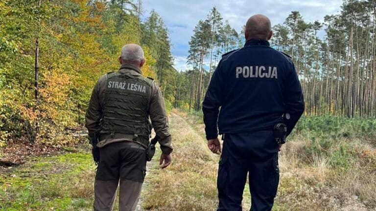 straż leśna i policja w lesie