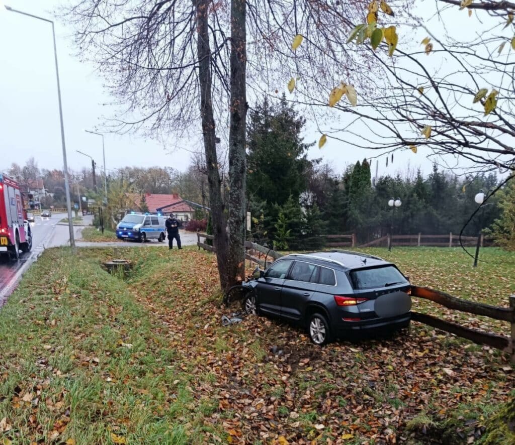 W tym wypadku nie ucierpiało żadne zwierzę. - Łabędzie spowodowały wypadek. Skoda uderzyła w drzewo