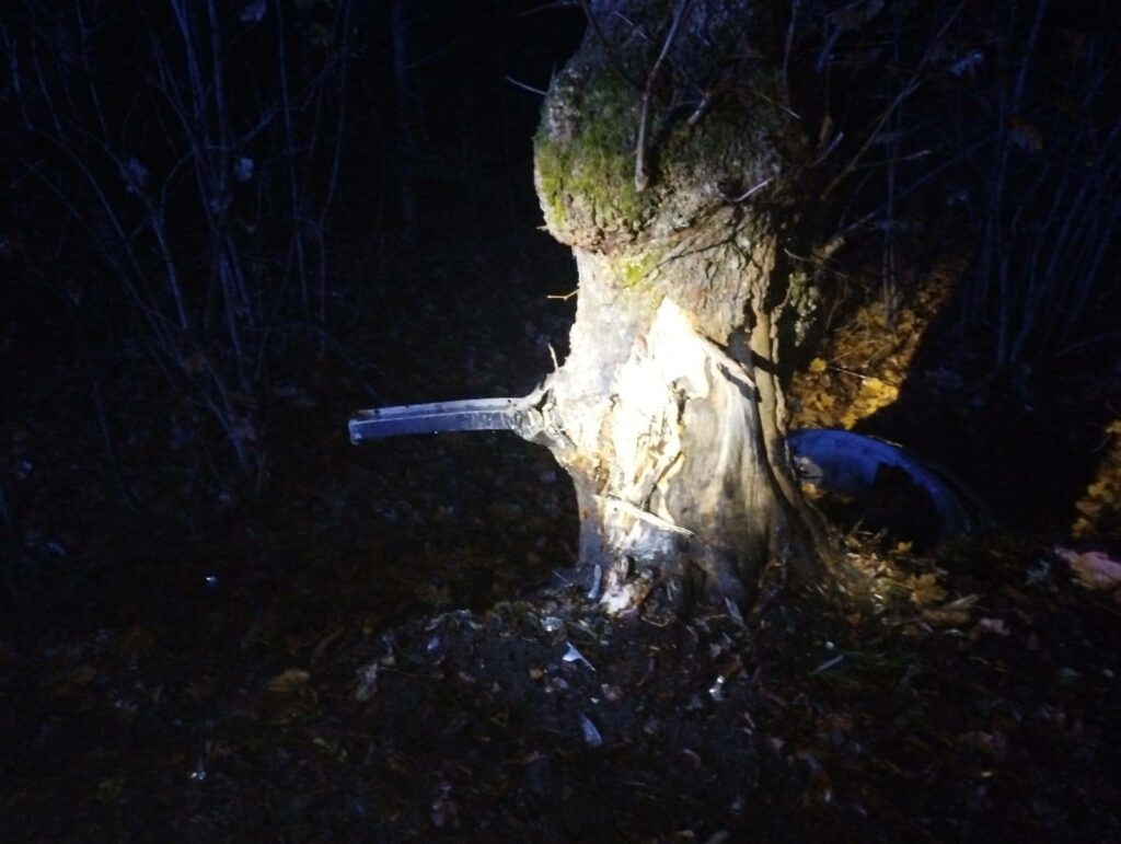 Auto z dużą siłą uderzyło w przydrożne drzewo. - Tragiczny wypadek. Nie żyje kierowca opla