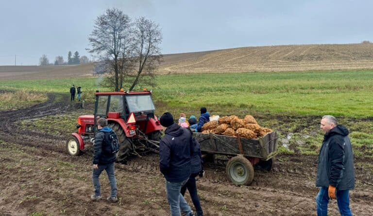 retro-wykopki dla Ignasia