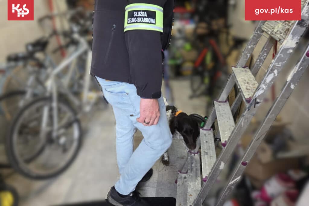 Nalot funkcjonariuszy na dziuplę przestępców. - Służby z Olsztyna rozbiły „pralnię pieniędzy”. Cztery osoby wyprowadzone w kajdankach