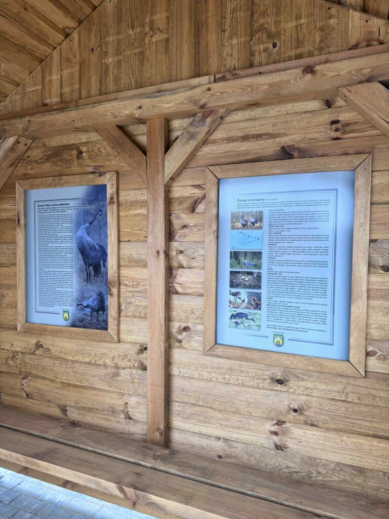 Tu aż chce się czekać na autobus! - Kolejny artystyczny przystanek na Warmii i Mazurach